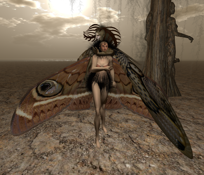 Dark Moth and Red Moth